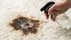 Škvrny a fľaky z koberca zmiznú bez stopy: jednoduchý spôsob bez chemického čistenia