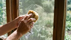 Sieť proti komárom bude ako nová za 10 minút: jednoduchý spôsob rýchleho čistenia pomocou bežných prostriedkov