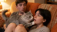 Ako zistiť, či ste mačku rozmaznali: nerobte tieto chyby!