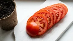 Stačí len jeden paradajok z vlastnej úrody: tento šikovný trik zo supermarketu vám pomôže dosiahnuť tento cieľ na jar