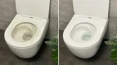 Dve tablety na pol litra vody a aj tie najstaršie toalety budú žiariť ako nové.