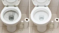 Rolka toaletného papiera a ocot: jednoduchý spôsob, ako odstrániť vodný kameň z záchodu a vrátiť mu pôvodný vzhľad.