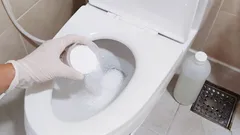 Záchod sa bez námahy zbaví vodného kameňa a hrdze za 15 minút: spôsob bez remeselníka a vysokých nákladov
