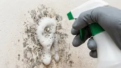 Ako rýchlo odstrániť pleseň zo stien: poradíme vám, ktoré domáce prostriedky vám pomôžu